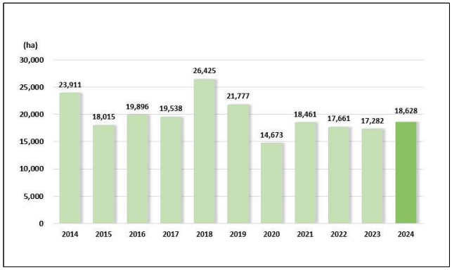 2024년 양파 재배면적은 증가했고 마늘은 감소 with 통계청
