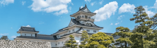2025-07 일본기업 시가총액 TOP20